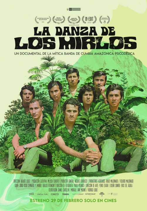 2) Poster de: LA DANZA DE LOS MIRLOS